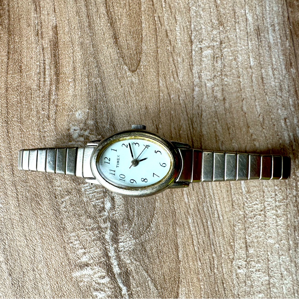 Stainless Steel Timex Watch 22$